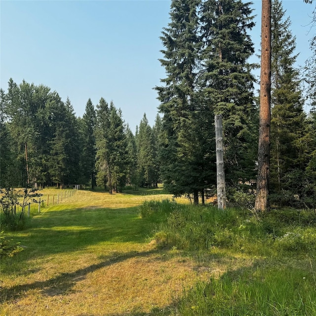 2378 Lake Creek Rd, Troy, MT 59935 - view of wooded area