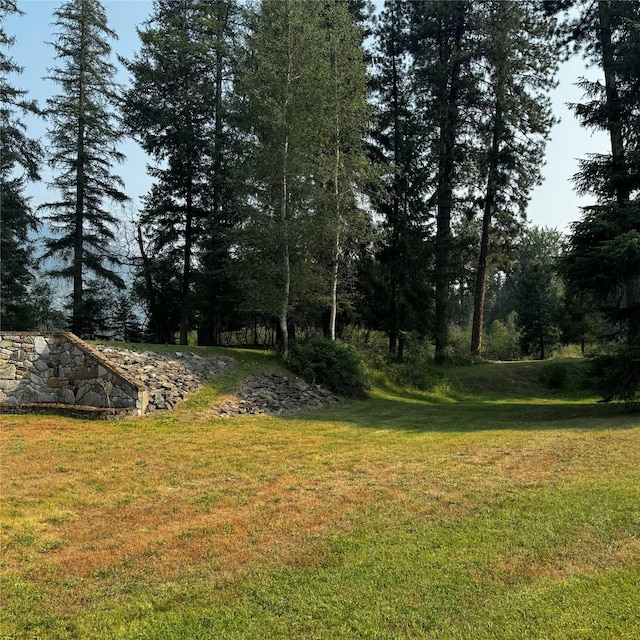 2378 Lake Creek Rd, Troy, MT 59935 - view of green lawn