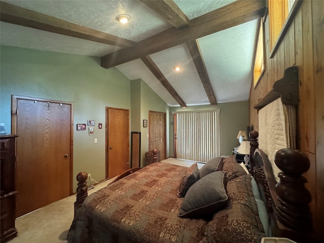2378 Lake Creek Rd, Troy, MT 59935 - bedroom with carpet floors, two closets, and a textured ceiling