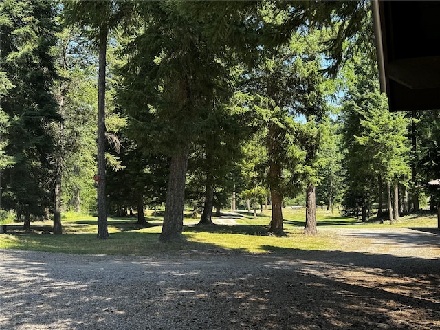 2378 Lake Creek Rd, Troy, MT 59935 - view of yard