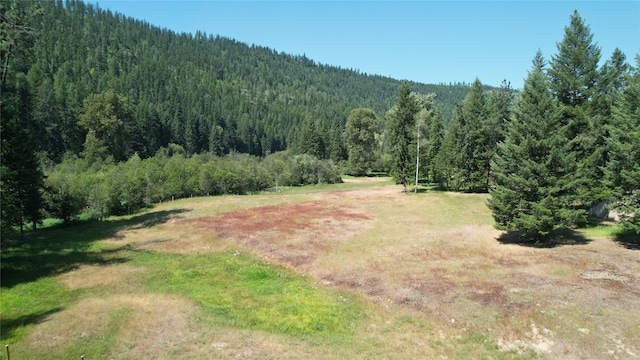 2378 Lake Creek Rd, Troy, MT 59935 - view of mountain backdrop with a heavily wooded area