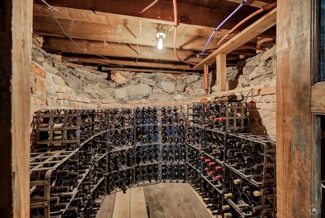 wine area with wood-type flooring