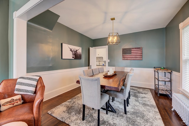 dining room featuring radiator heating unit and dark hardwood / wood-style flooring