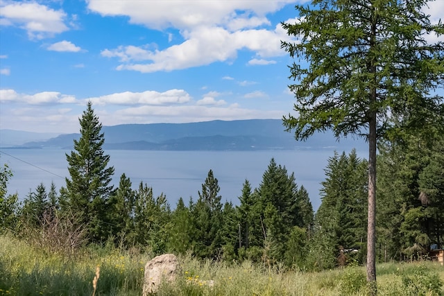 water view featuring a mountain view