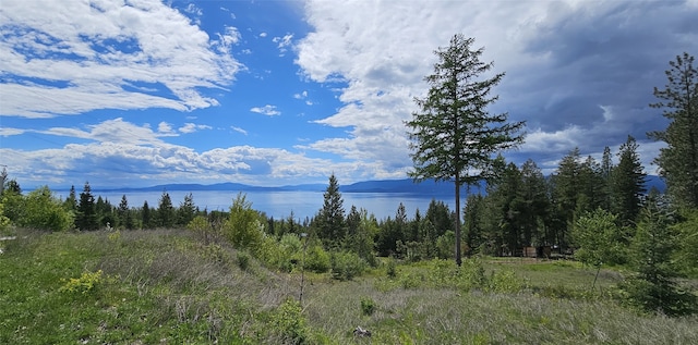 water view with a mountain view