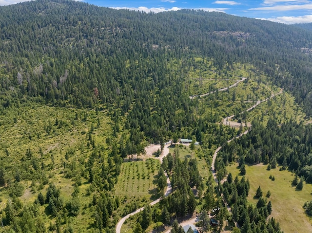 birds eye view of property featuring a mountain view