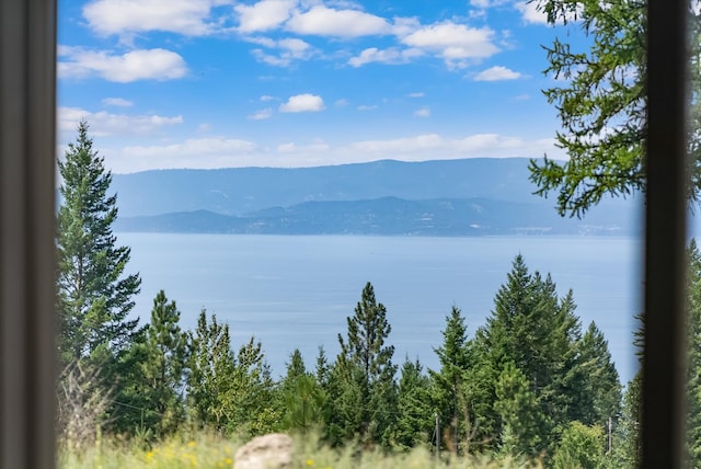 view of water feature featuring a mountain view