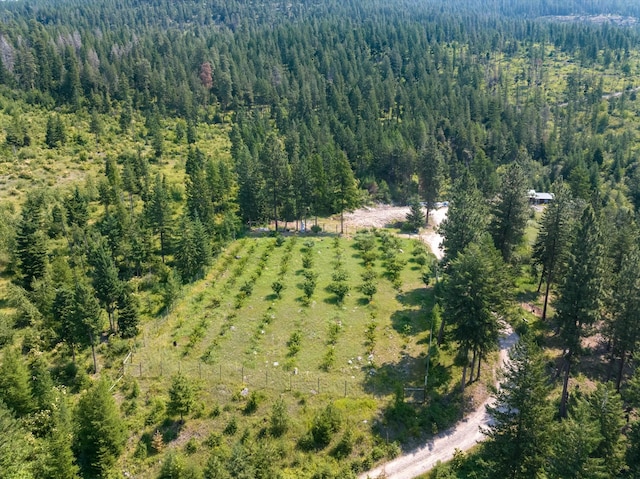 bird's eye view with a rural view