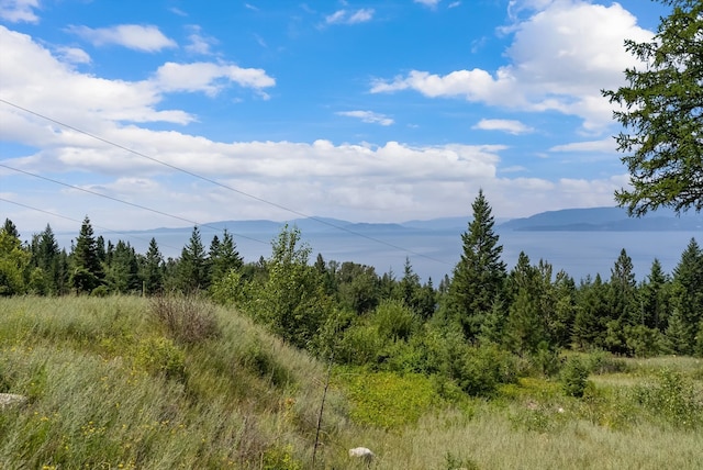 view of mountain feature