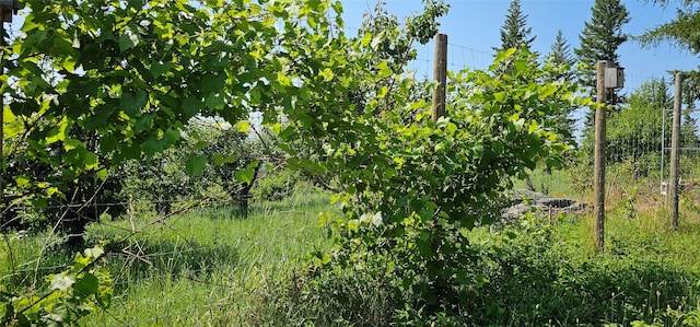 view of landscape