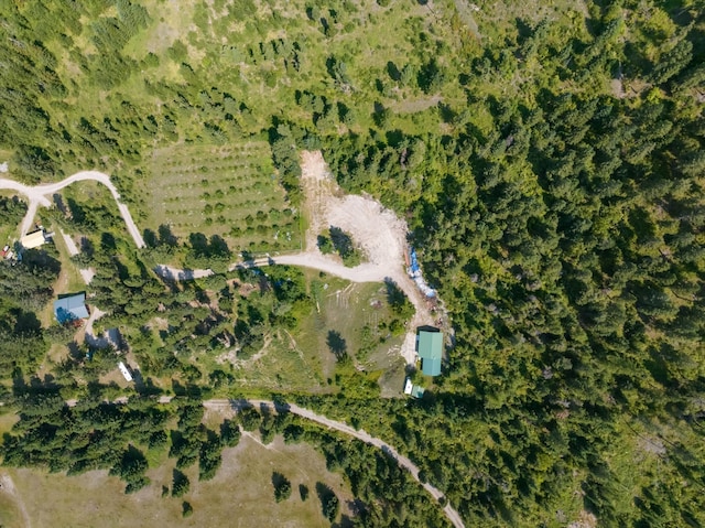 bird's eye view featuring a rural view