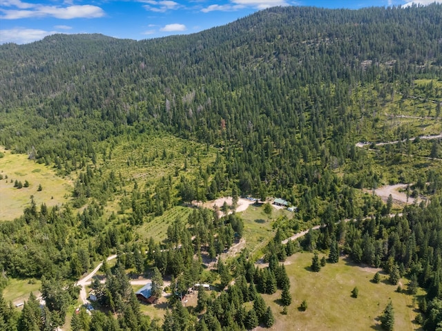 drone / aerial view with a mountain view