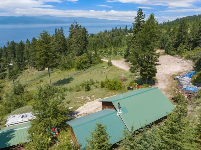 birds eye view of property featuring a mountain view