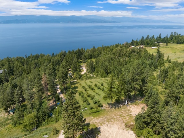 birds eye view of property featuring a mountain view