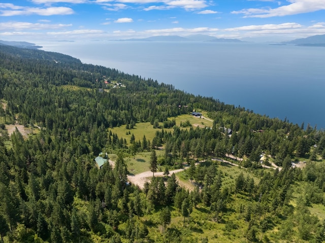 bird's eye view featuring a mountain view