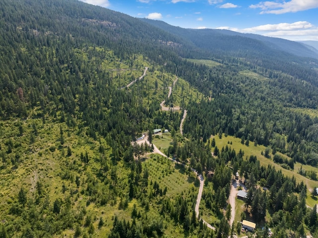 drone / aerial view featuring a mountain view