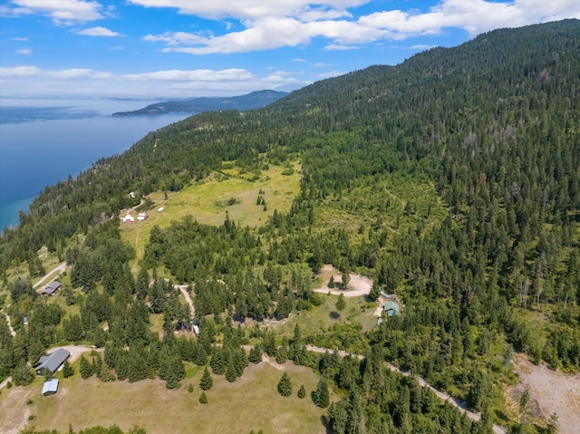 birds eye view of property with a water and mountain view