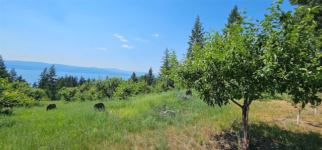 property view of mountains with a rural view