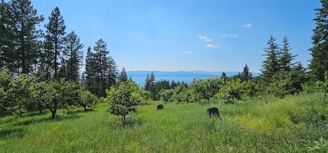 property view of mountains