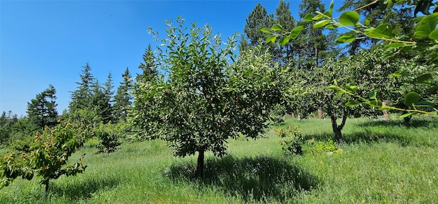 view of landscape