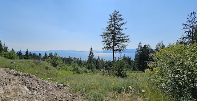 view of landscape featuring a mountain view