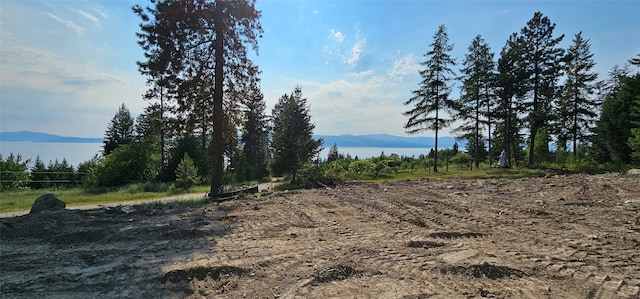 view of nature featuring a mountain view