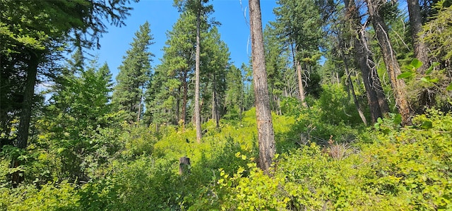 view of landscape