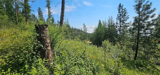 view of landscape