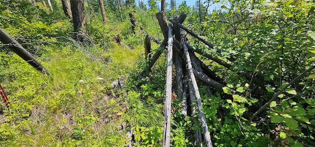 view of landscape