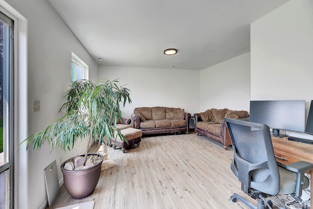 office space featuring light hardwood / wood-style flooring