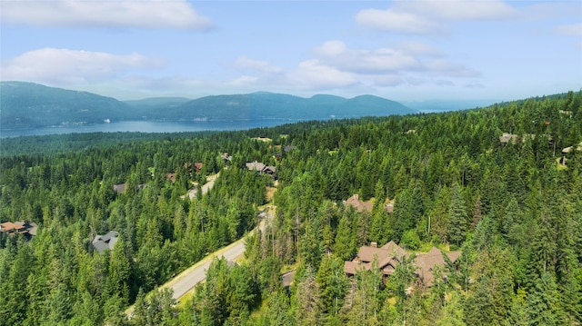 bird's eye view with a water and mountain view and a view of trees