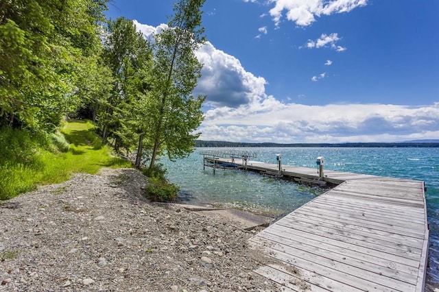 dock area with a water view