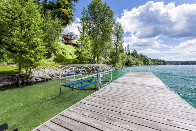 dock area with a water view