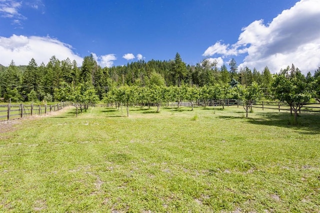 view of yard featuring a rural view