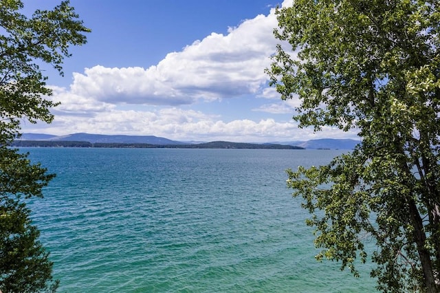 water view with a mountain view