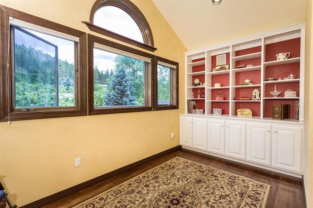 interior space featuring dark hardwood / wood-style floors, lofted ceiling, and plenty of natural light