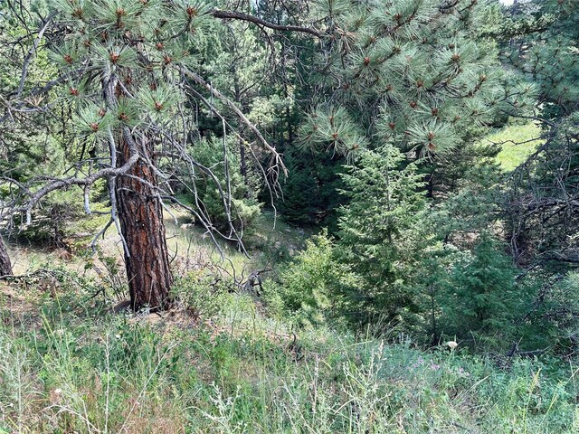 Listing photo 3 for 5 Upper Camp Ln, Cascade MT 59421