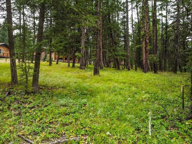 LOT46 Forest Loop, Eureka, MT 59917
