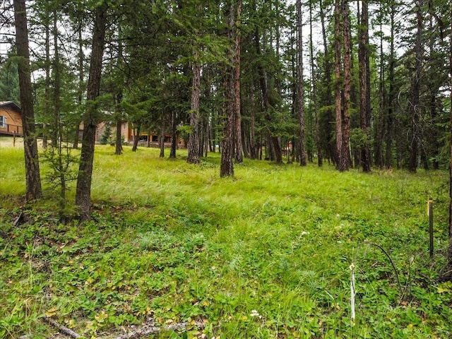 LOT46 Forest Loop, Eureka, MT 59917