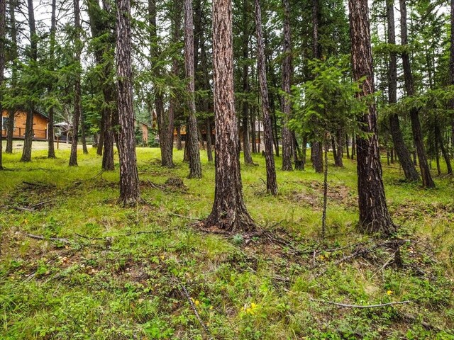 LOT46 Forest Loop, Eureka, MT 59917
