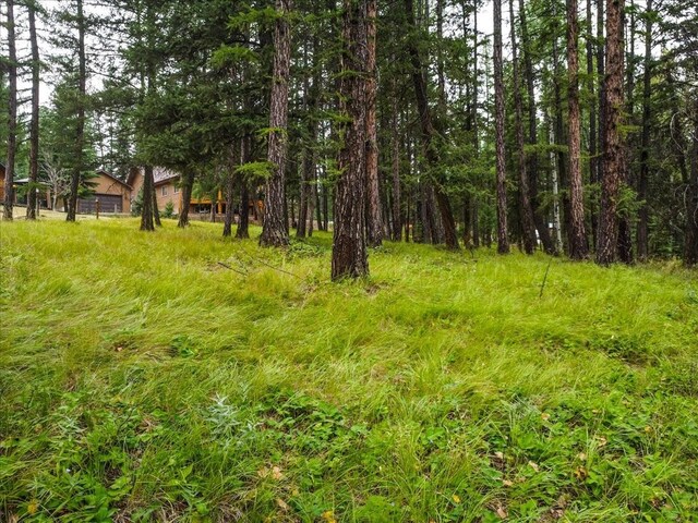 LOT46 Forest Loop, Eureka, MT 59917