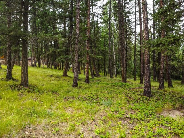 LOT46 Forest Loop, Eureka, MT 59917