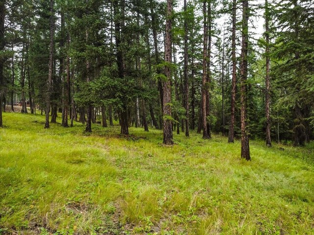LOT46 Forest Loop, Eureka, MT 59917