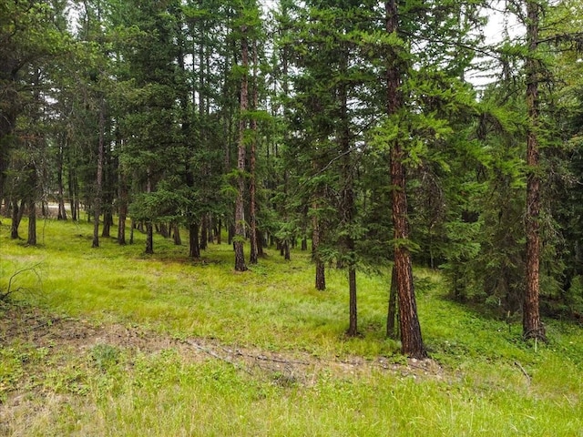 LOT46 Forest Loop, Eureka, MT 59917