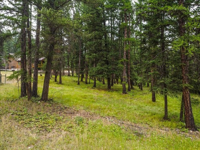 LOT46 Forest Loop, Eureka, MT 59917