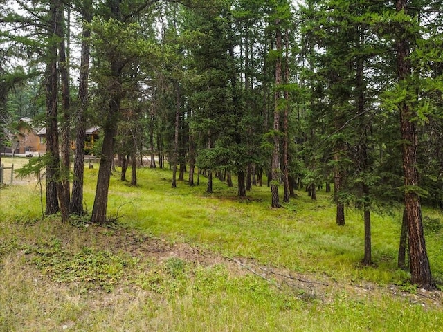 LOT46 Forest Loop, Eureka, MT 59917