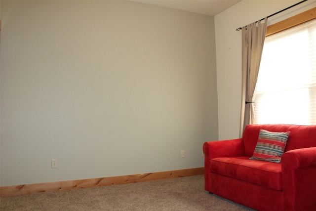 sitting room with carpet