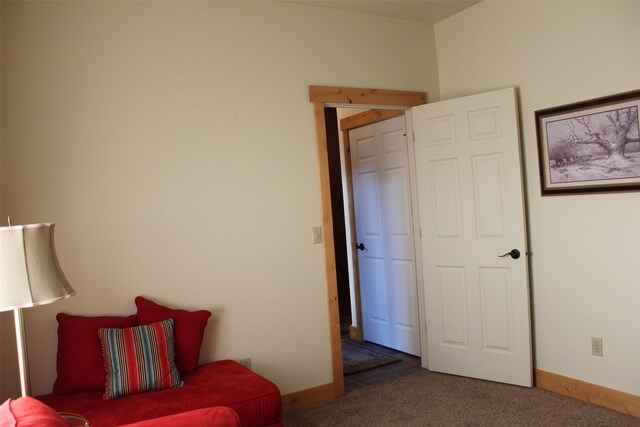 sitting room with dark carpet