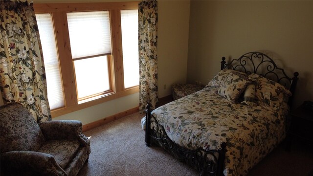 carpeted bedroom featuring multiple windows