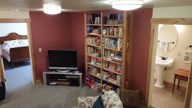 interior space with carpet floors and a textured ceiling